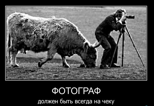Фотограф должен быть всегда на чеку