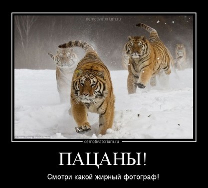 Пацаны, смотри какой жирный фотограф